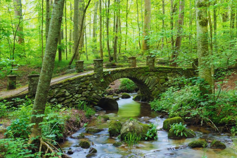 Discover a Troll Bridge in the Smoky Mountains
